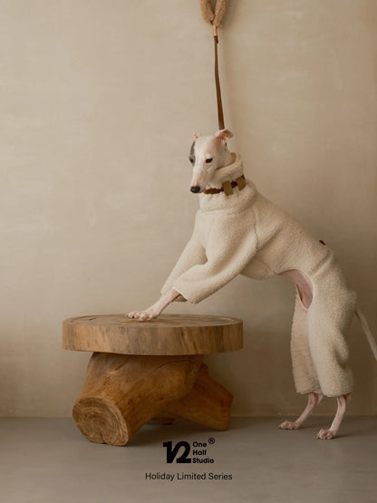 Leather leash attached to a sherpa collar