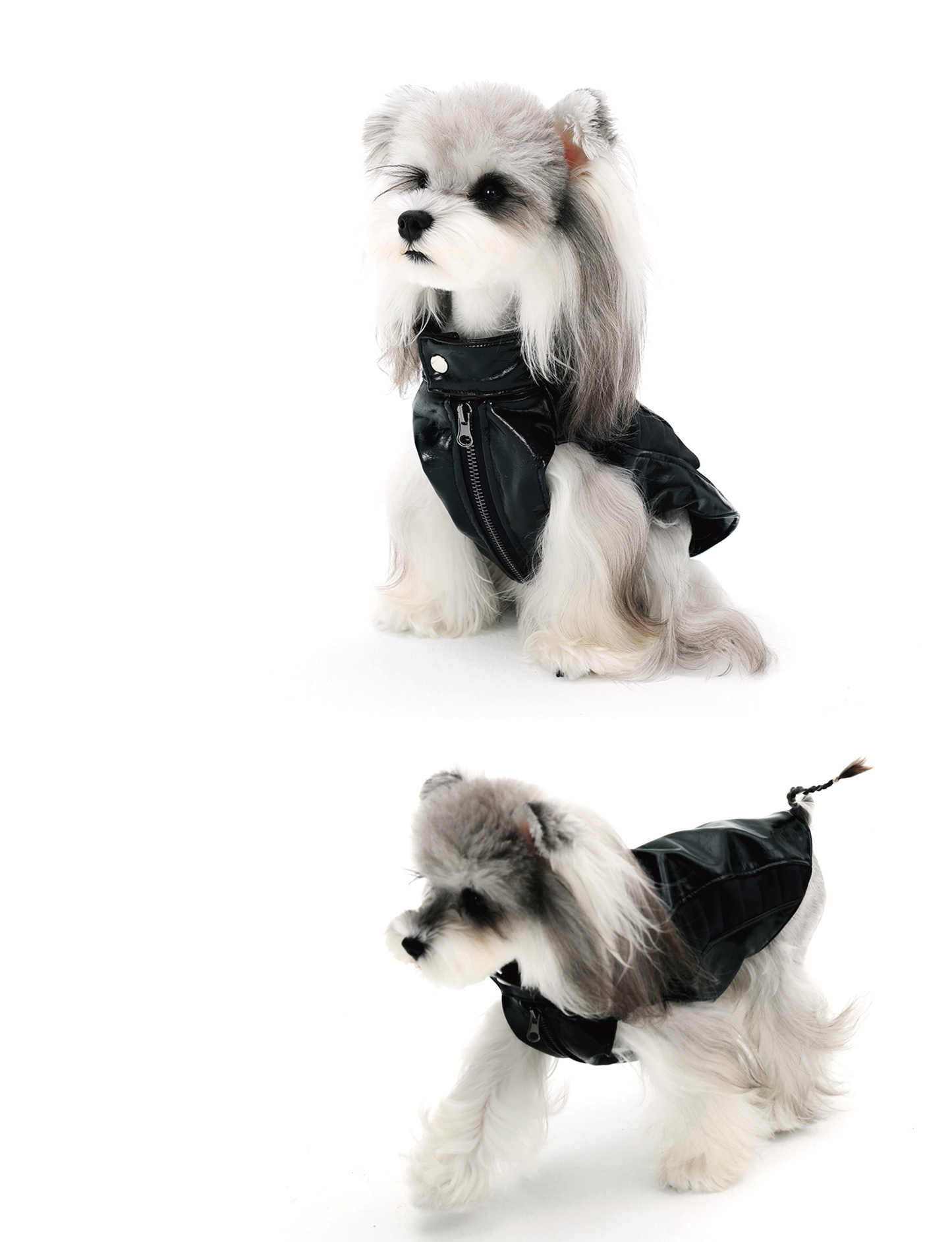 Small Dog Biker Style Leather Jacket