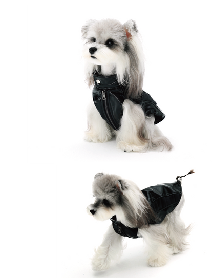 Chaqueta de cuero estilo motero para perro pequeño