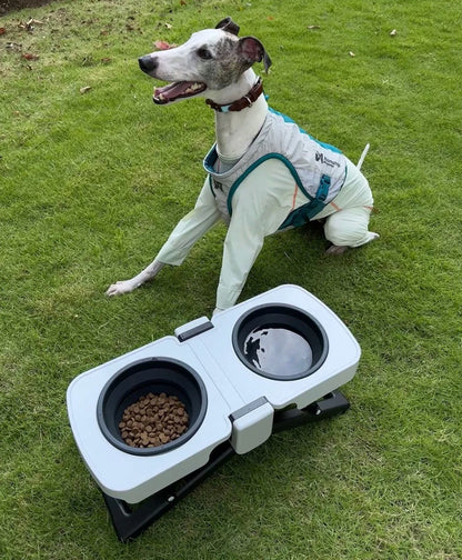 Portable Foldable Double Dog Bowl Stand