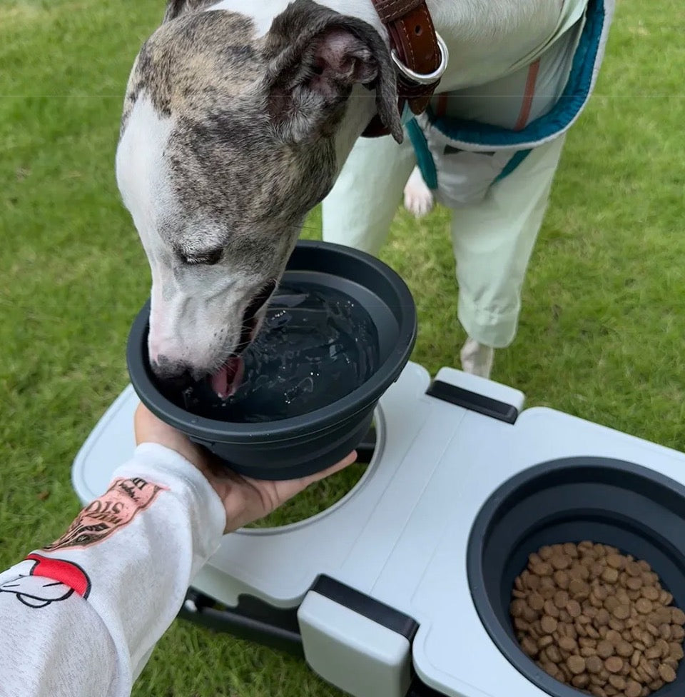 Portable Foldable Double Dog Bowl Stand