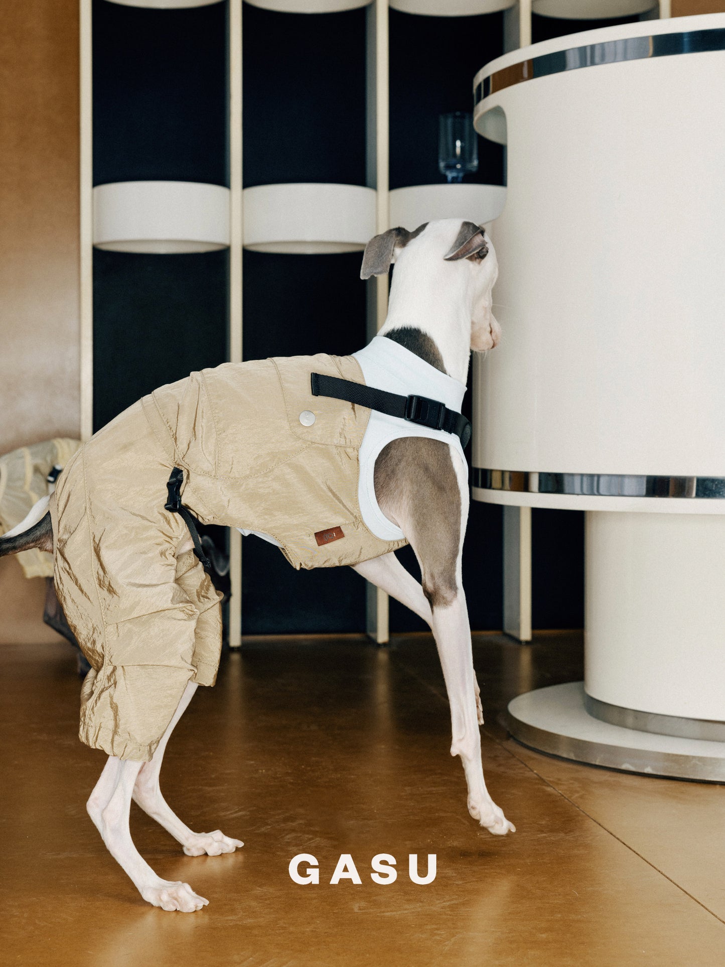 Lightweight Convertible Dog Overalls