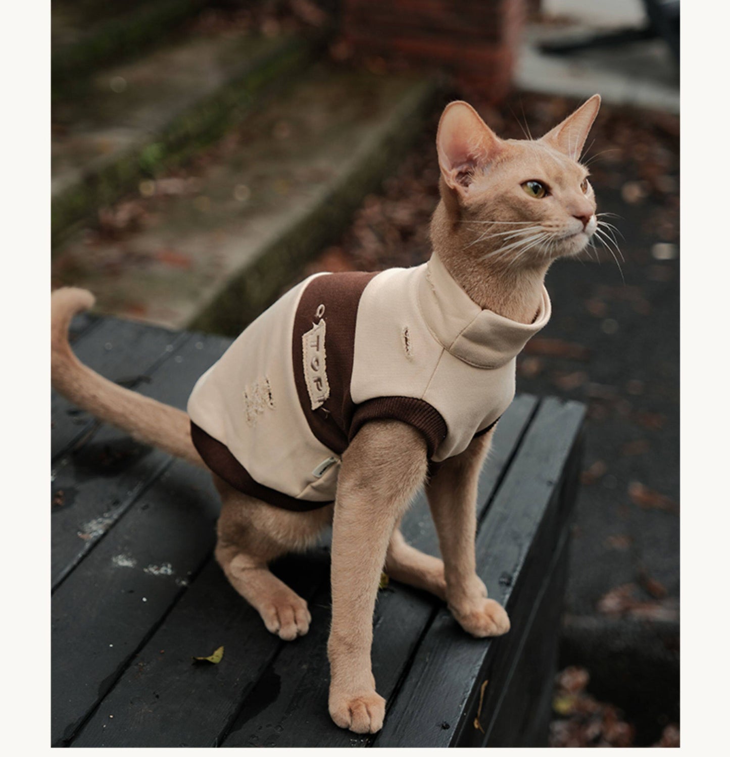 OfCatopia Destroyed Sleeveless Vest for Pets