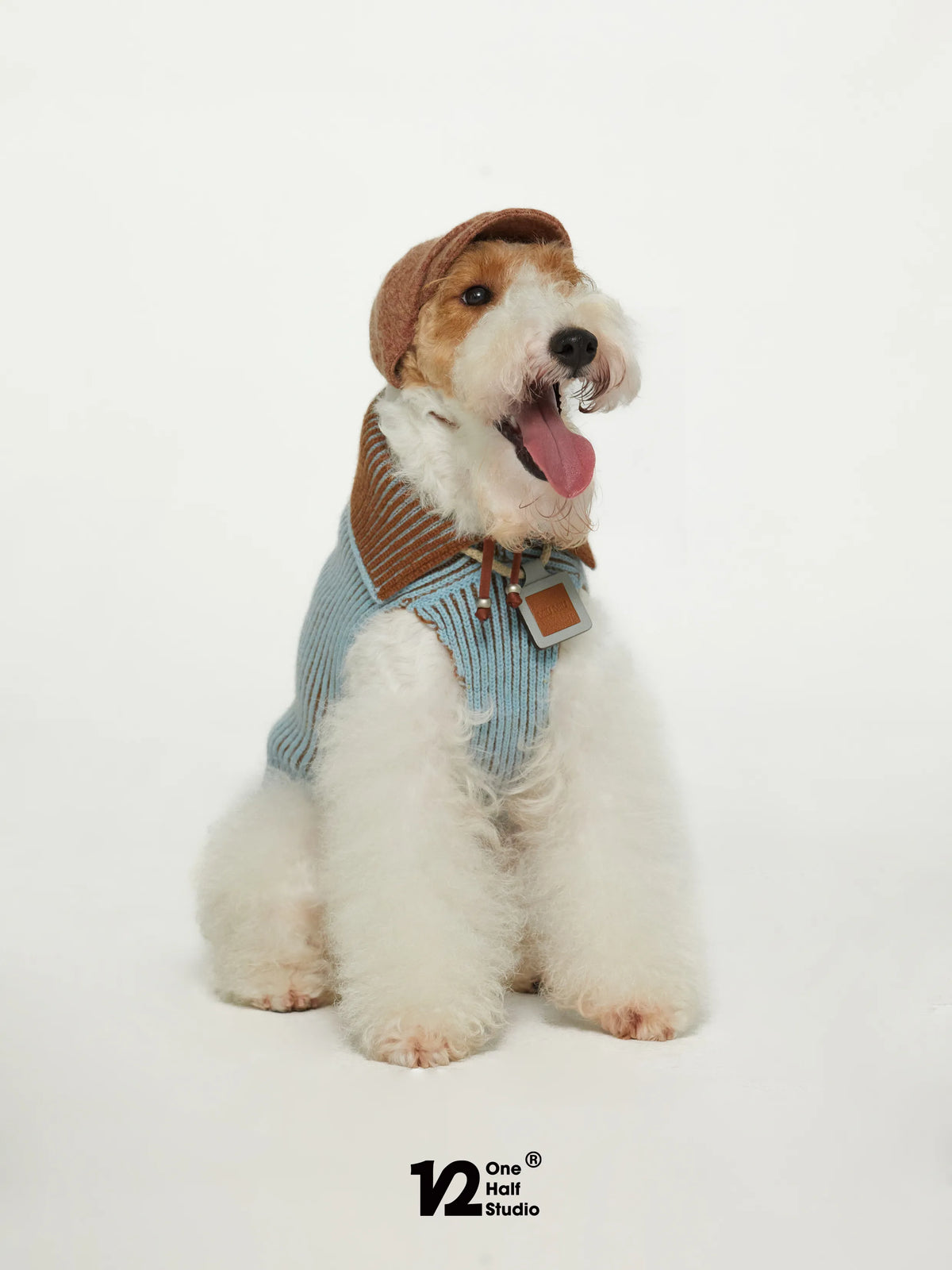 Dog in a newsboy cap with a matching sweater