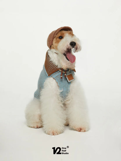 Dog in a newsboy cap with a matching sweater