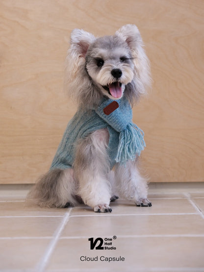 Schnauzer in a blue sleeveless cable knit sweater