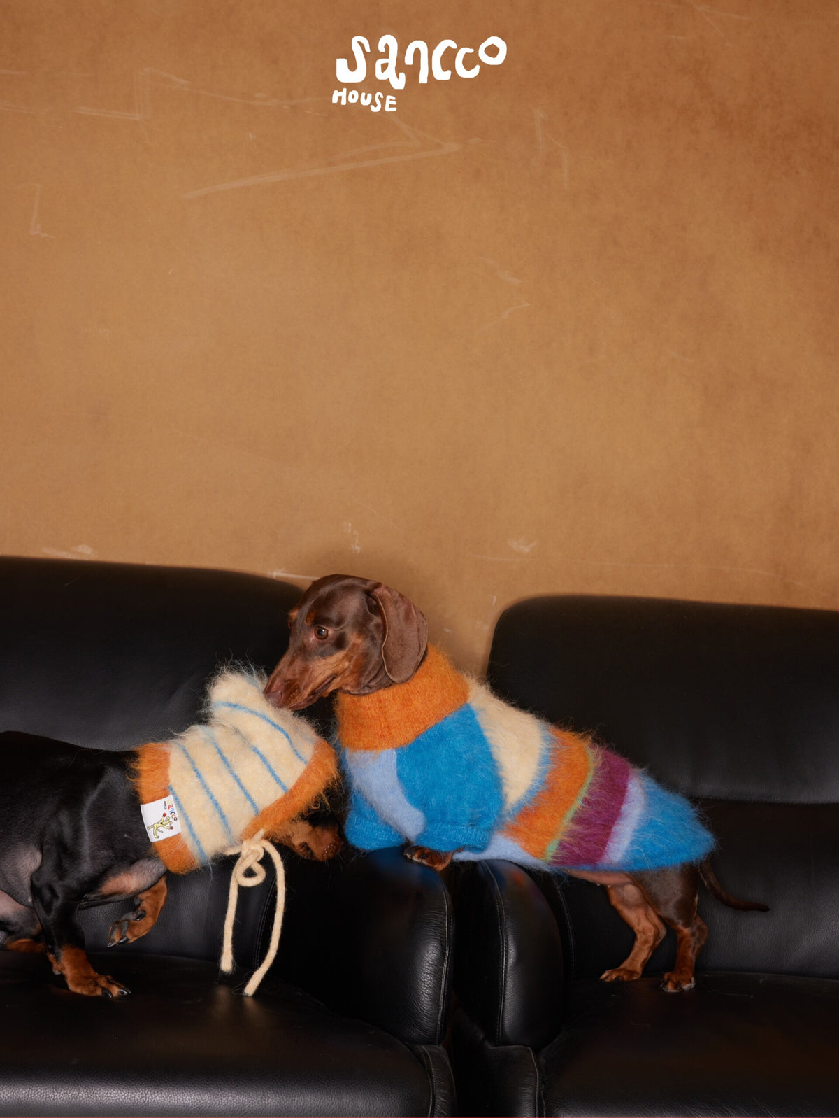 Dog in a striped sweater resting on a bench