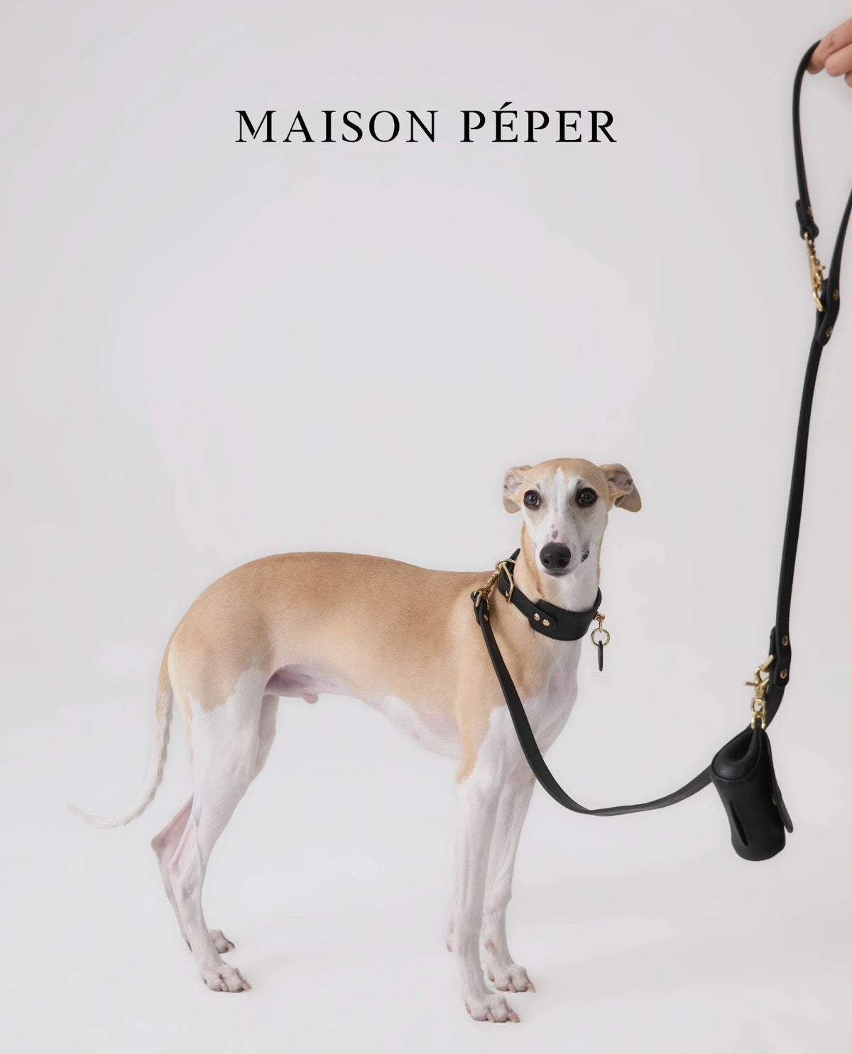 3-Piece Genuine Leather Sighthound Walking Set