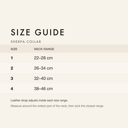 Size guide with neck, chest and back length in centimetres and inches