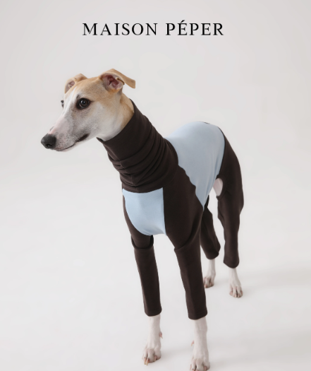 Color-Block Elastic Base Layer for Greyhounds