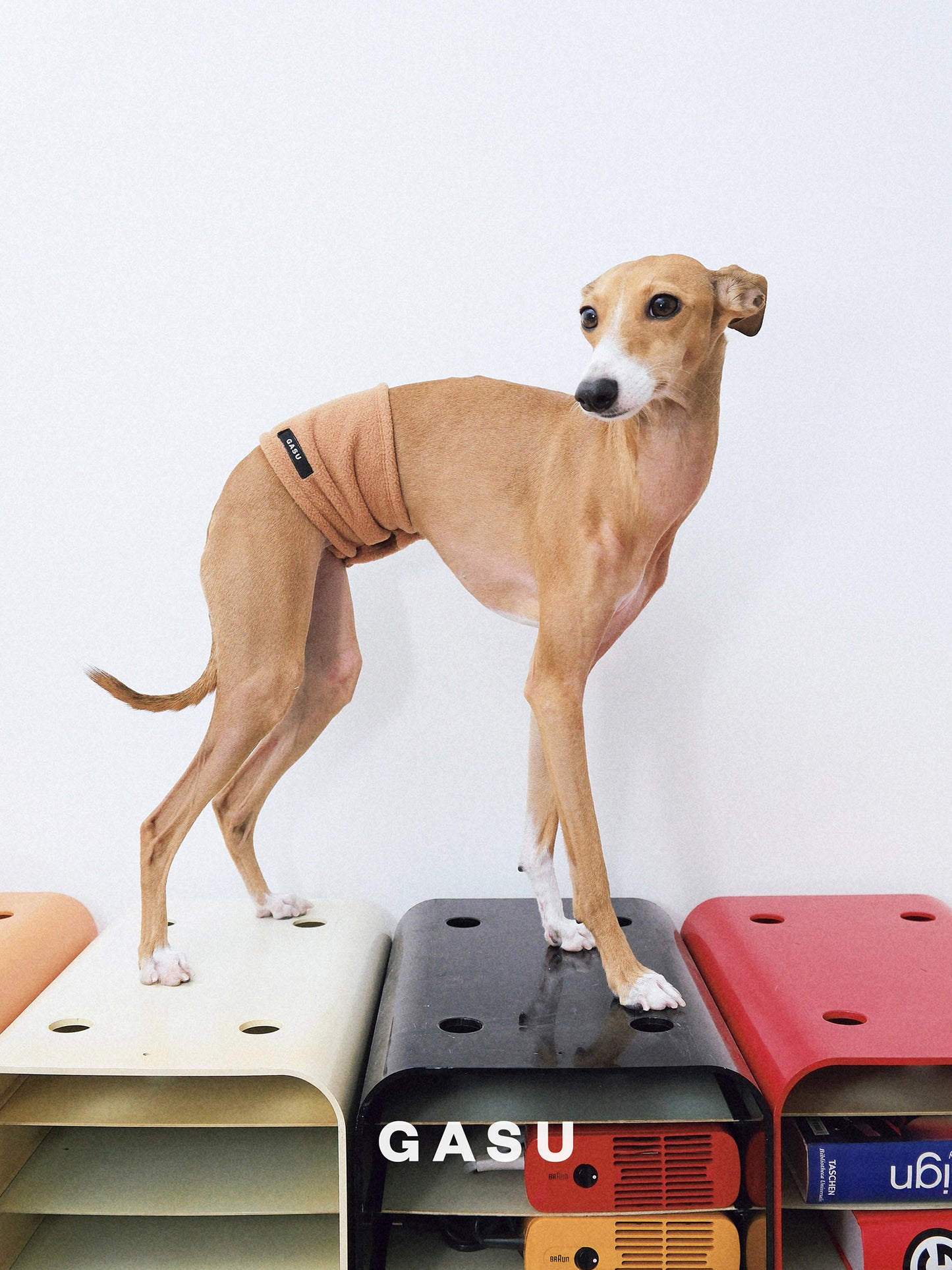 GASU Entourer Anti-Static Pet Belly Wrap