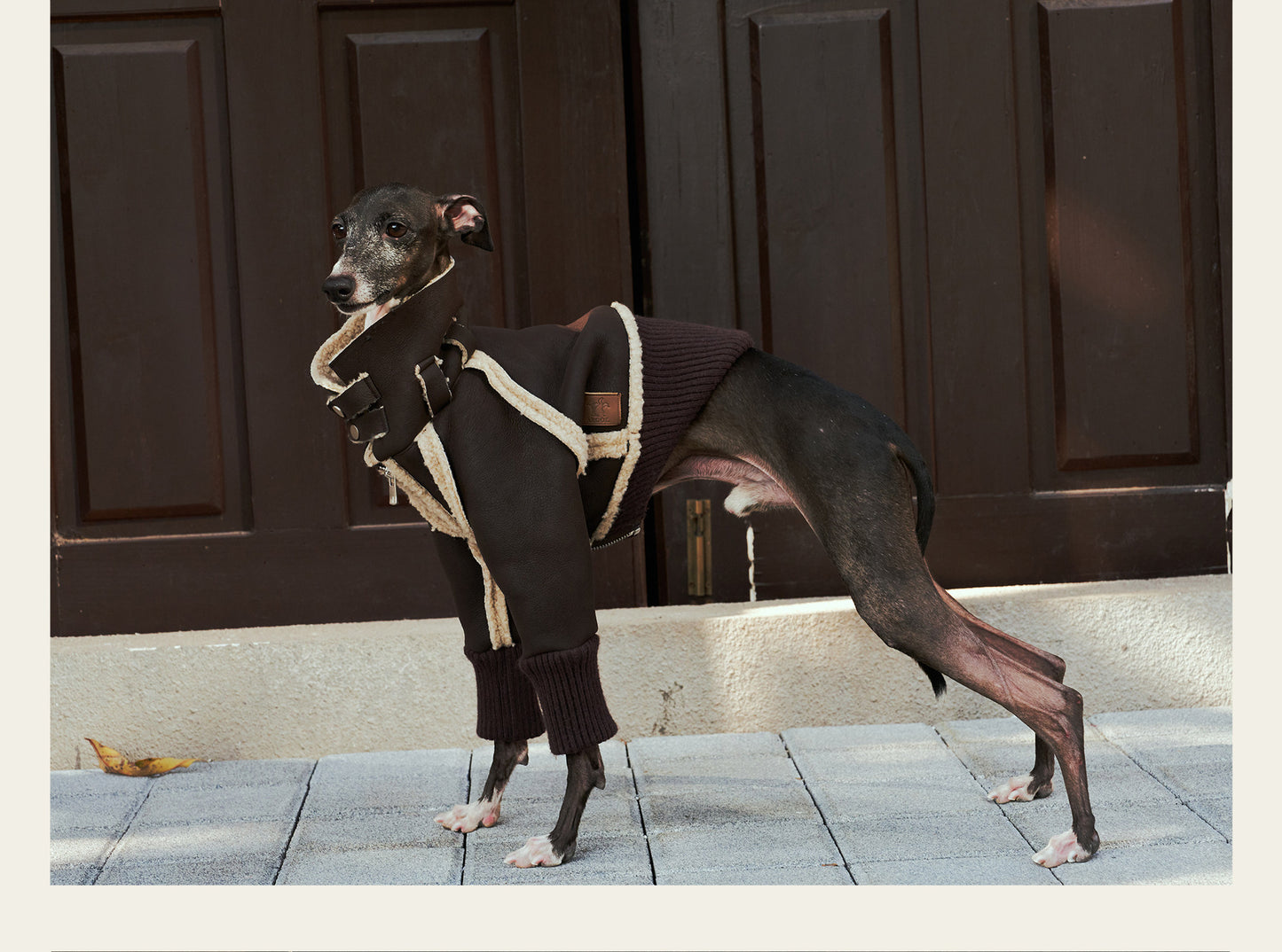 ARGOL Whippet British Winter Jacket