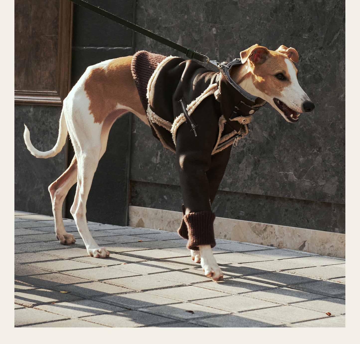ARGOL Whippet British Winter Jacket