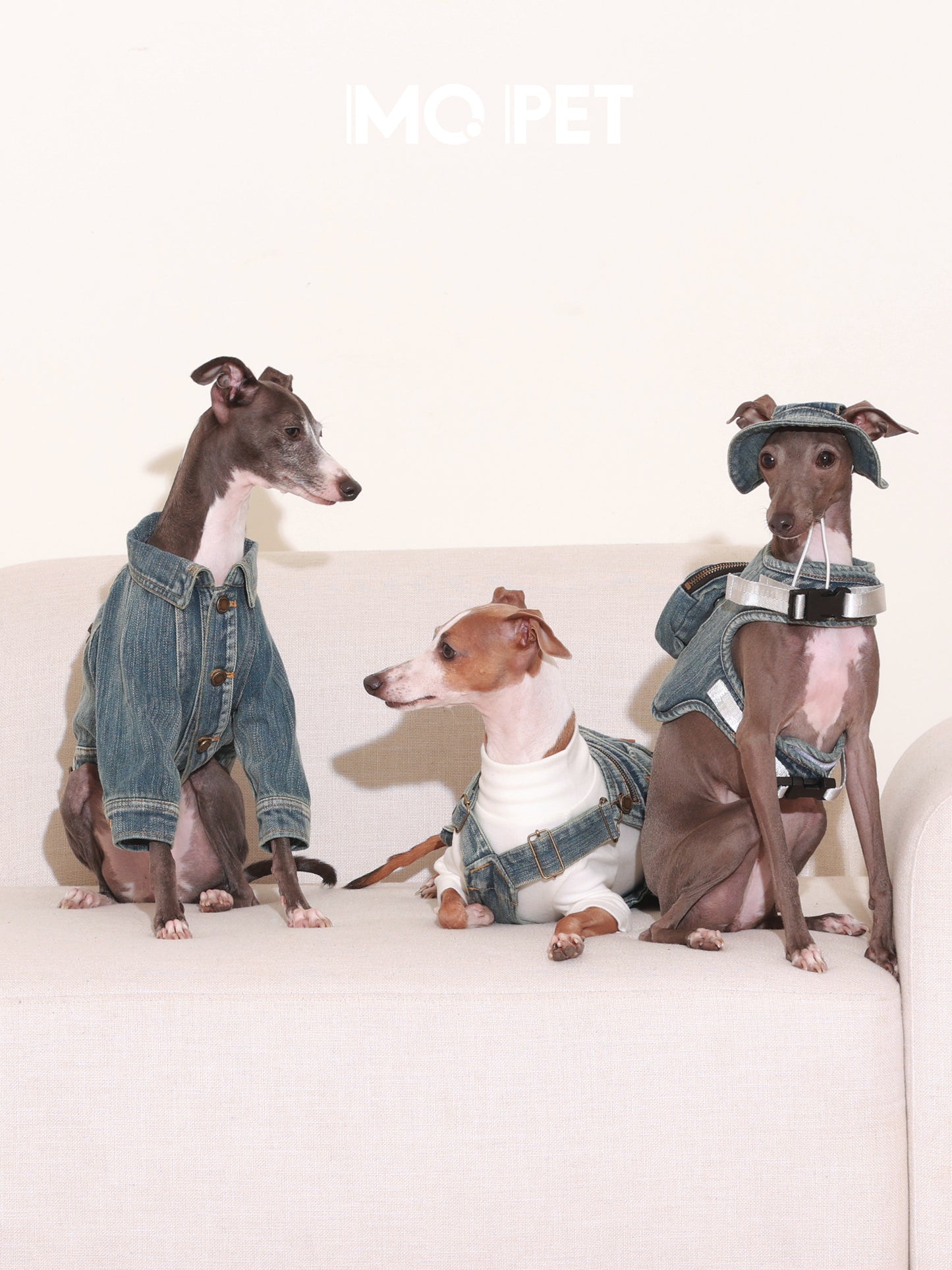 MQPET Washed Denim Adjustable Harness & Hat Set