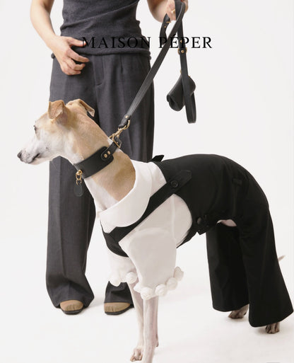3D Floral Dog Shirt and Suspender Pants Set