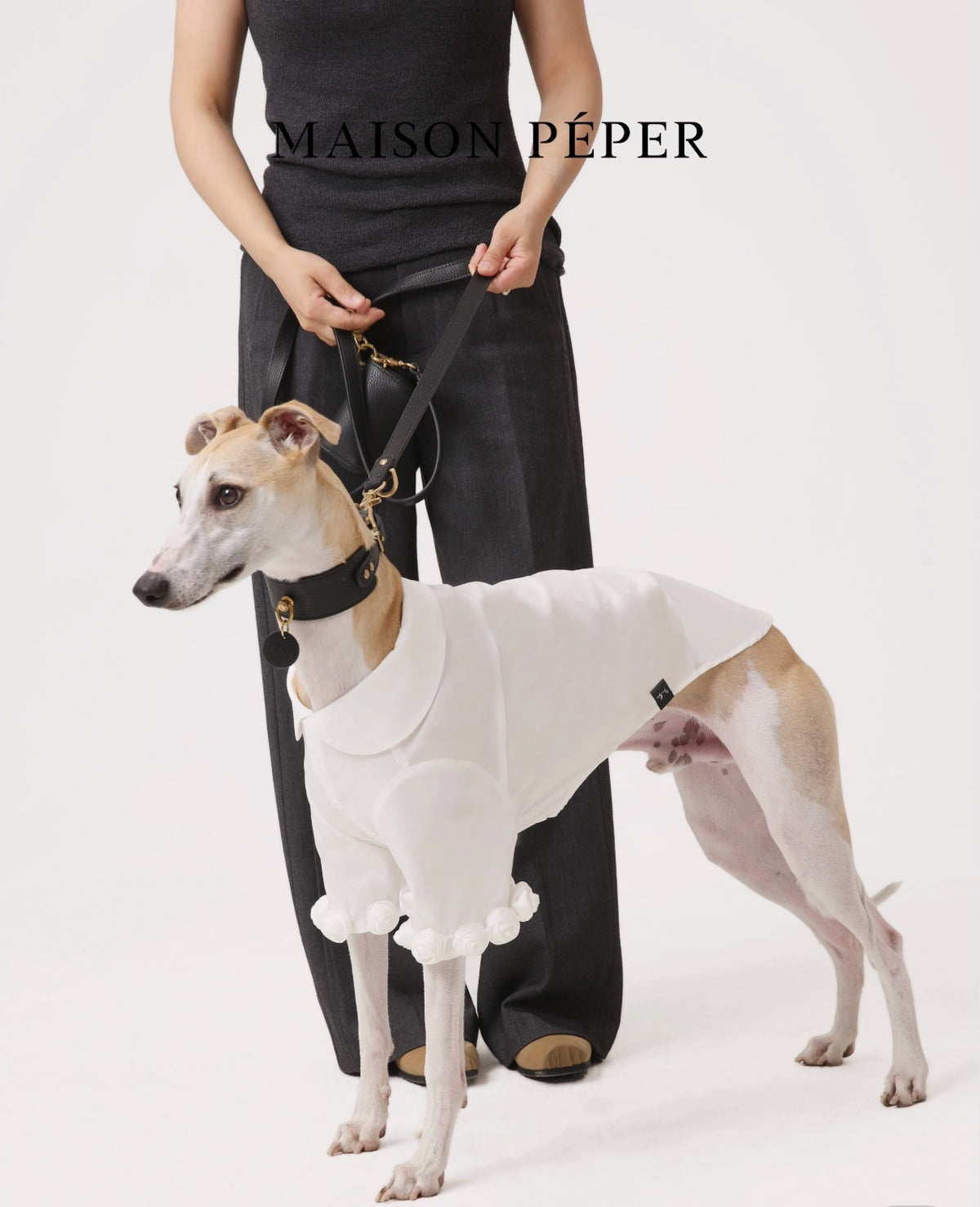 3D Floral Dog Shirt and Suspender Pants Set