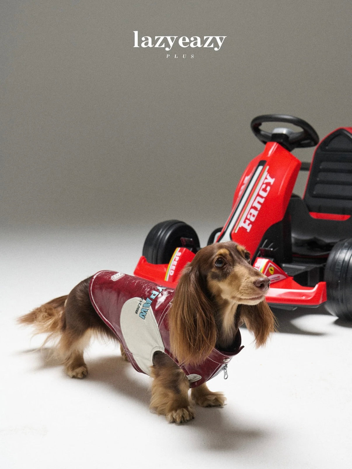 LAZY EAZY Racing Dog Vest