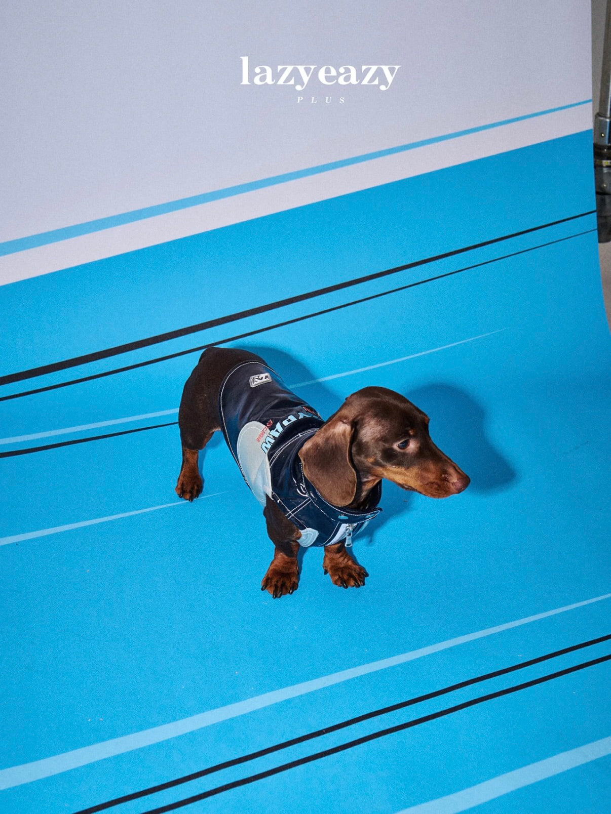 LAZY EAZY Racing Dog Vest