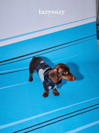 Chaleco de carreras para perros LAZY EAZY