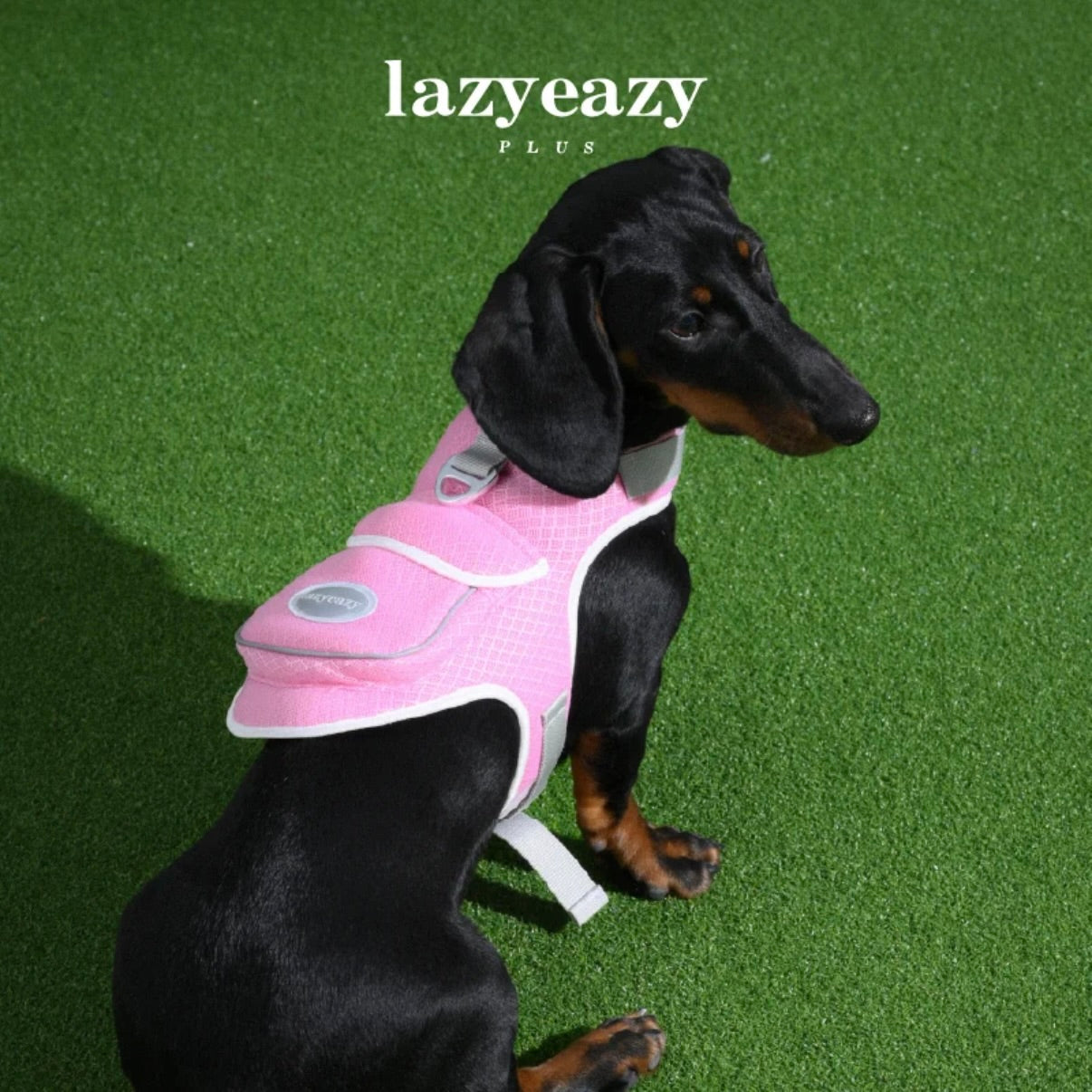 LAZY EAZY Mesh Harness Vest