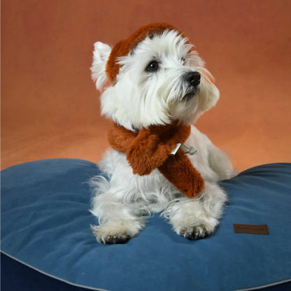 Conjunto de gorra de béisbol de peluche y calentador de cuello LAZY EAZY