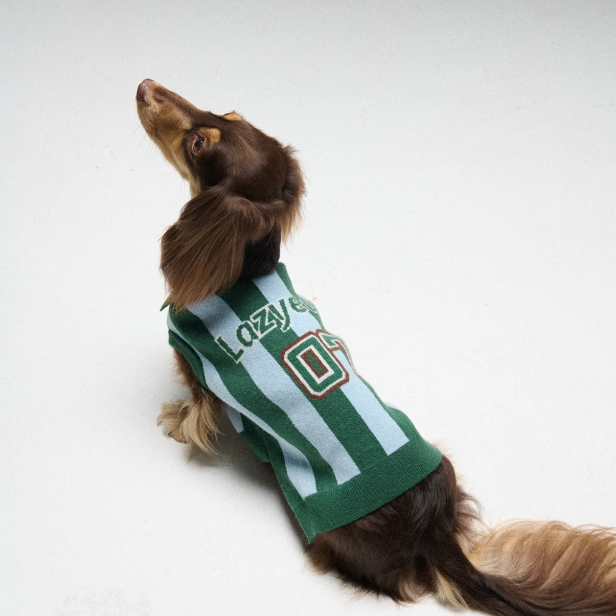 LAZY EAZY Pet Striped Athletic Sweater