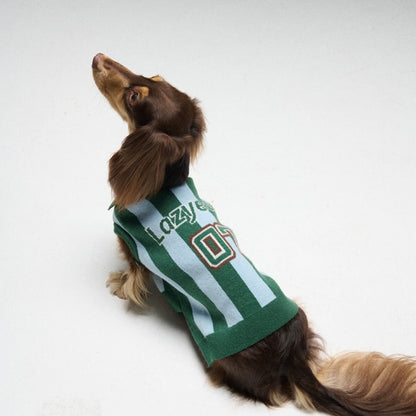 LAZY EAZY Pet Striped Athletic Sweater