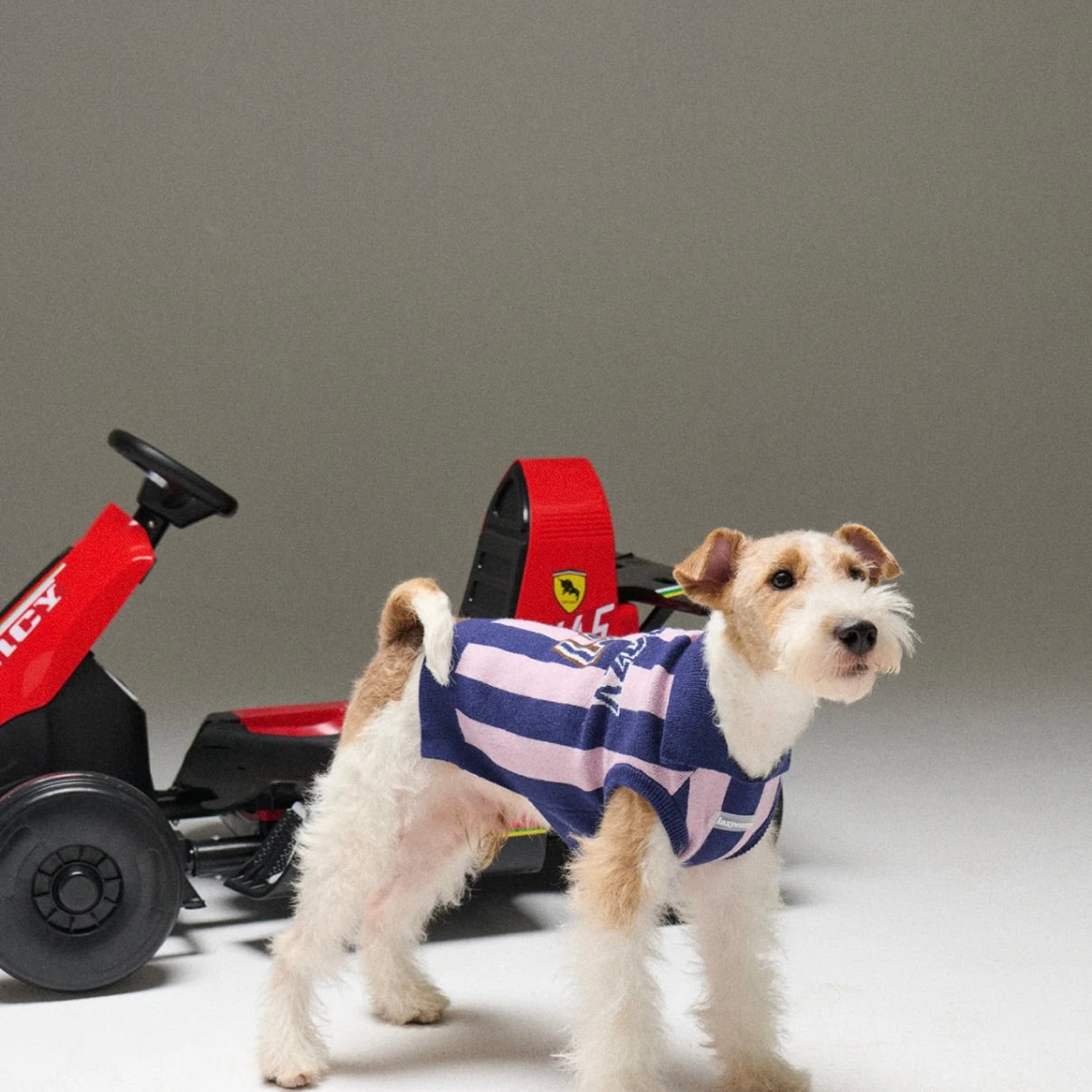 LAZY EAZY Pet Striped Athletic Sweater