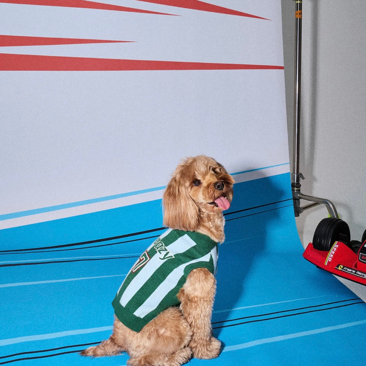 LAZY EAZY Pet Striped Athletic Sweater