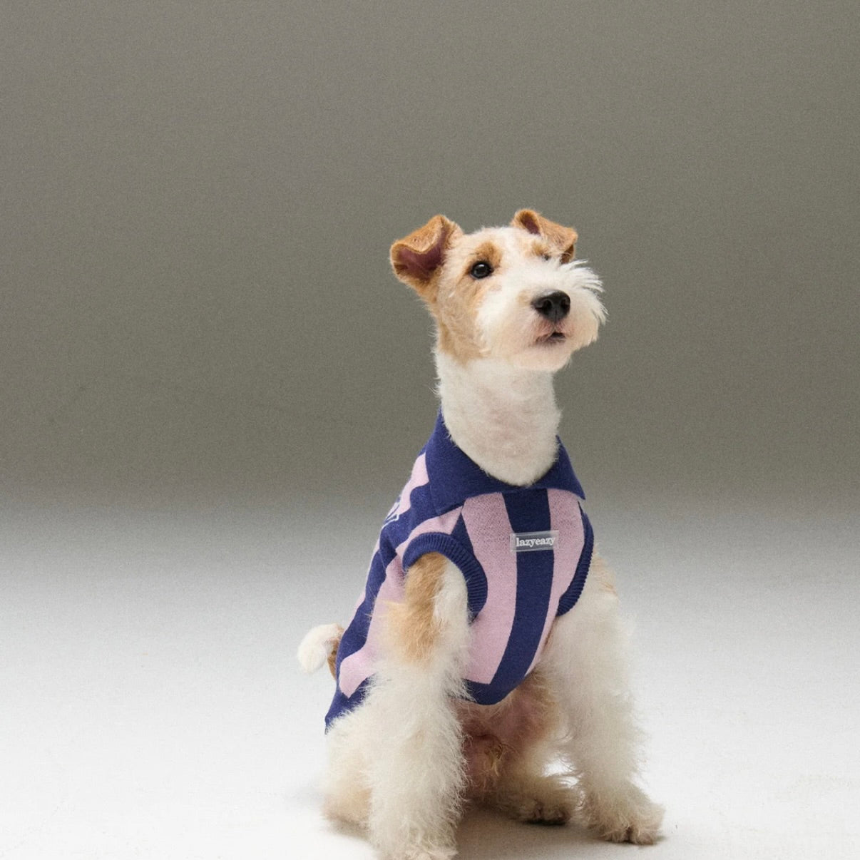 LAZY EAZY Pet Striped Athletic Sweater