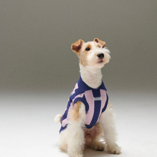 LAZY EAZY Pet Striped Athletic Sweater
