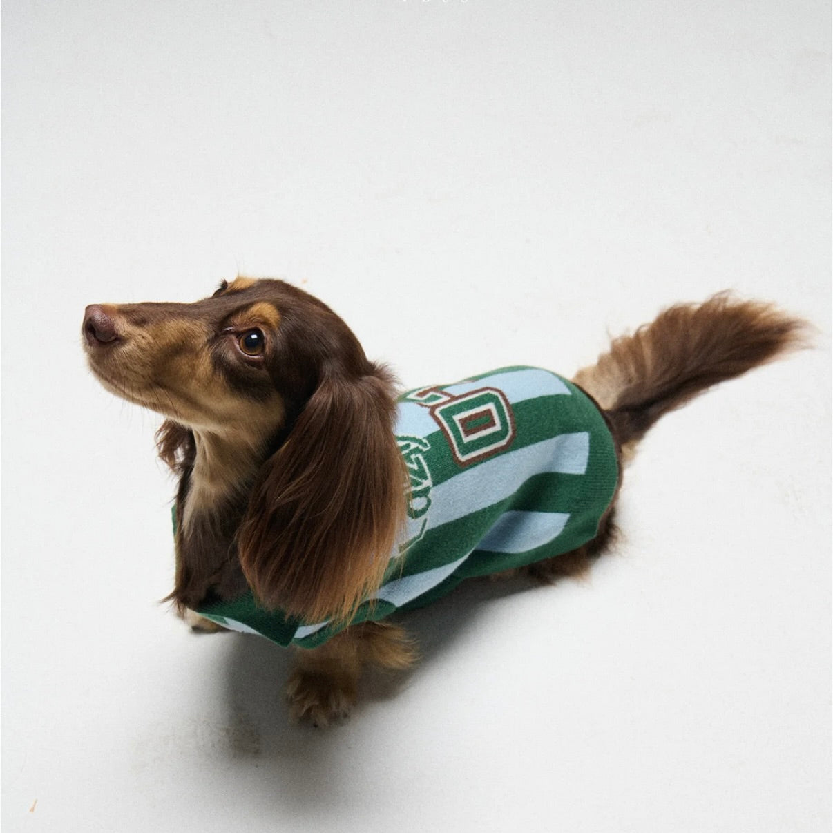 LAZY EAZY Pet Striped Athletic Sweater