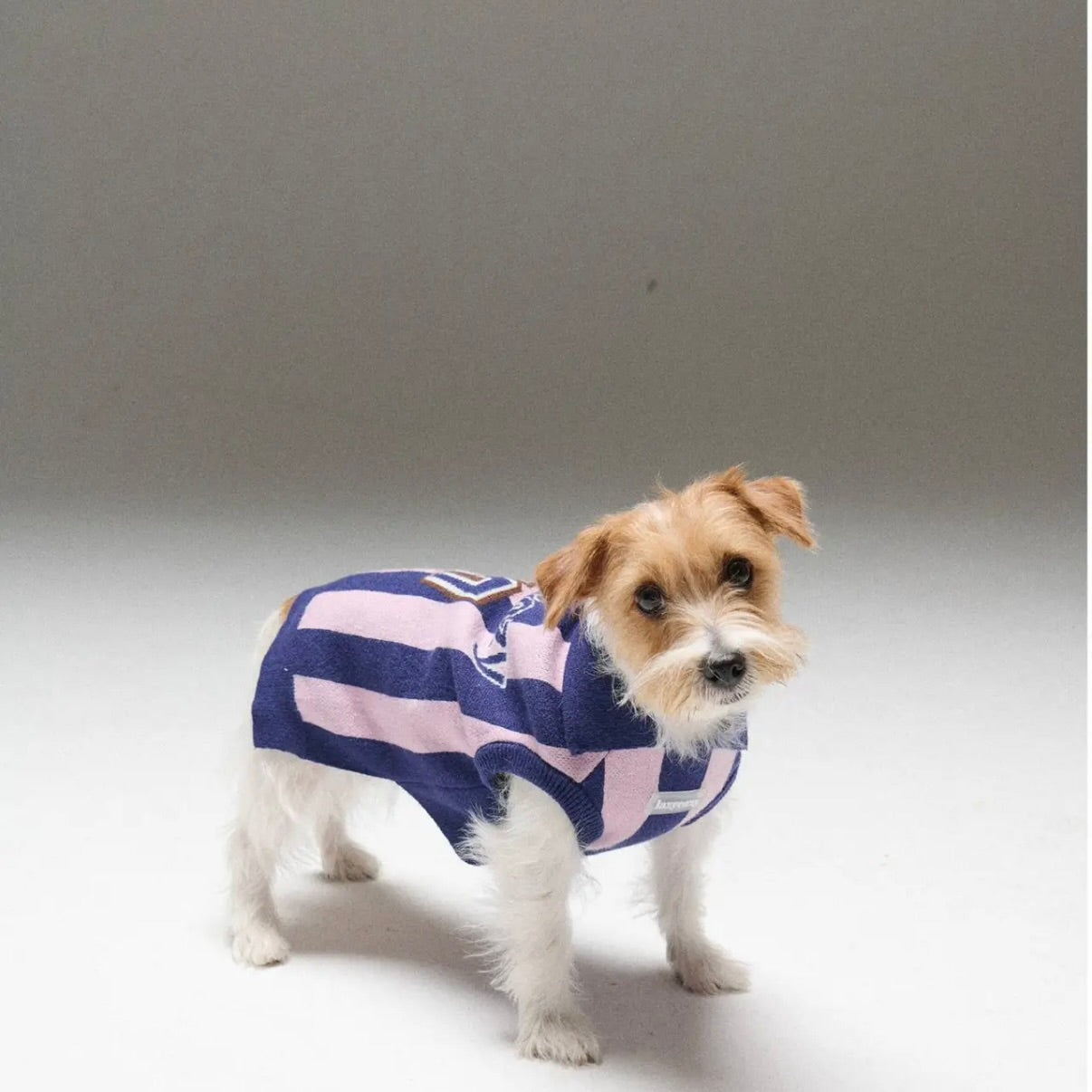 LAZY EAZY Pet Striped Athletic Sweater