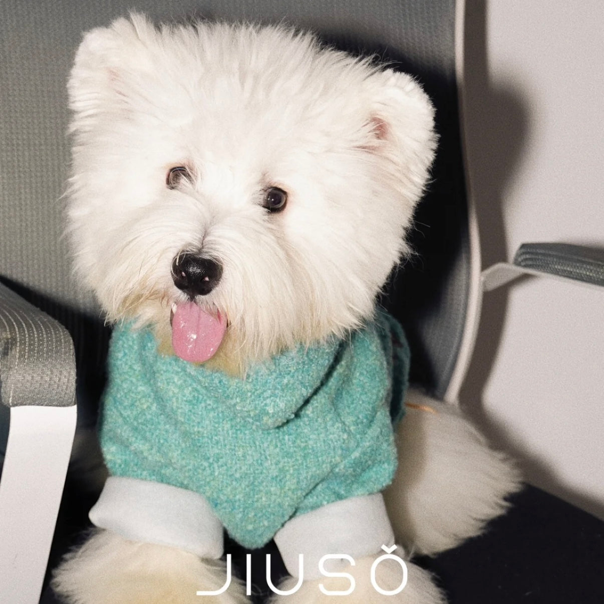 JIUSO Cozy Thick Wool Pet Sweater