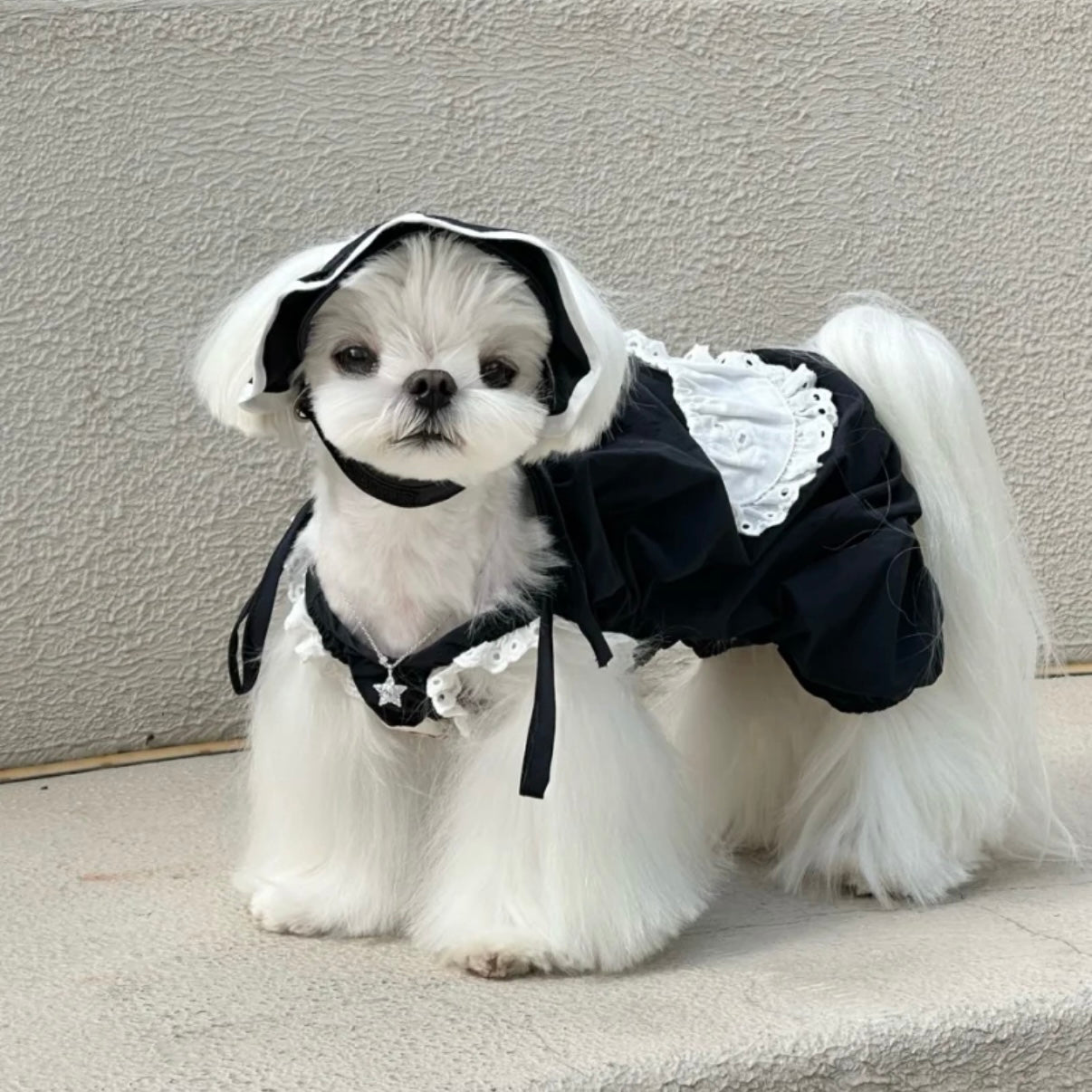 Snuggsoul Matching Lace-Trim Pet Pumpkin Pants