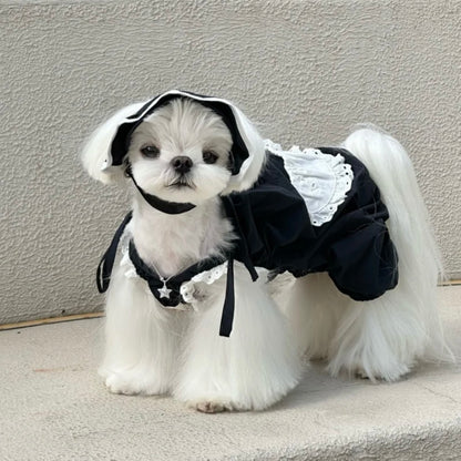 Snuggsoul Matching Lace-Trim Pet Pumpkin Pants