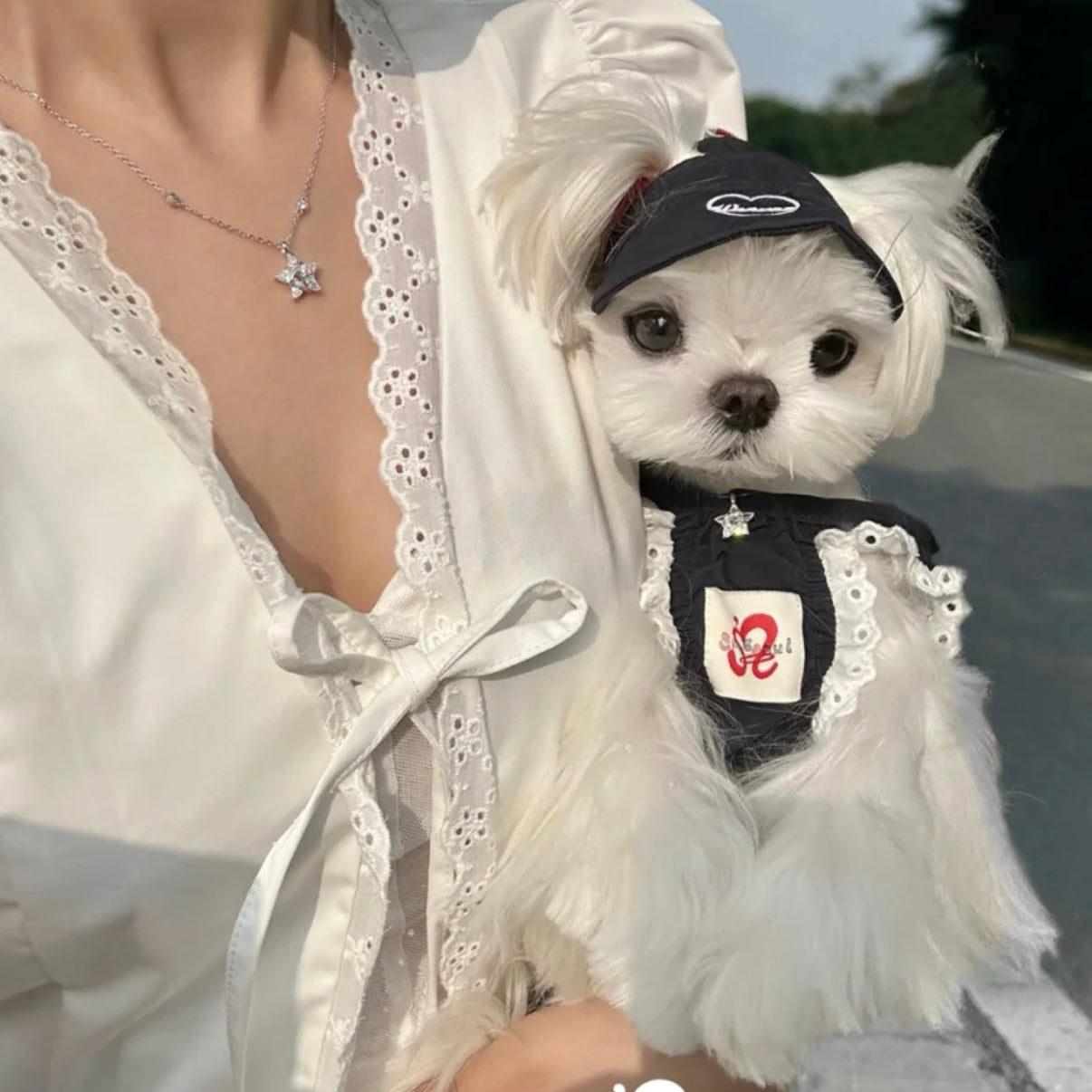 Snuggsoul Matching Lace-Trim Pet Pumpkin Pants