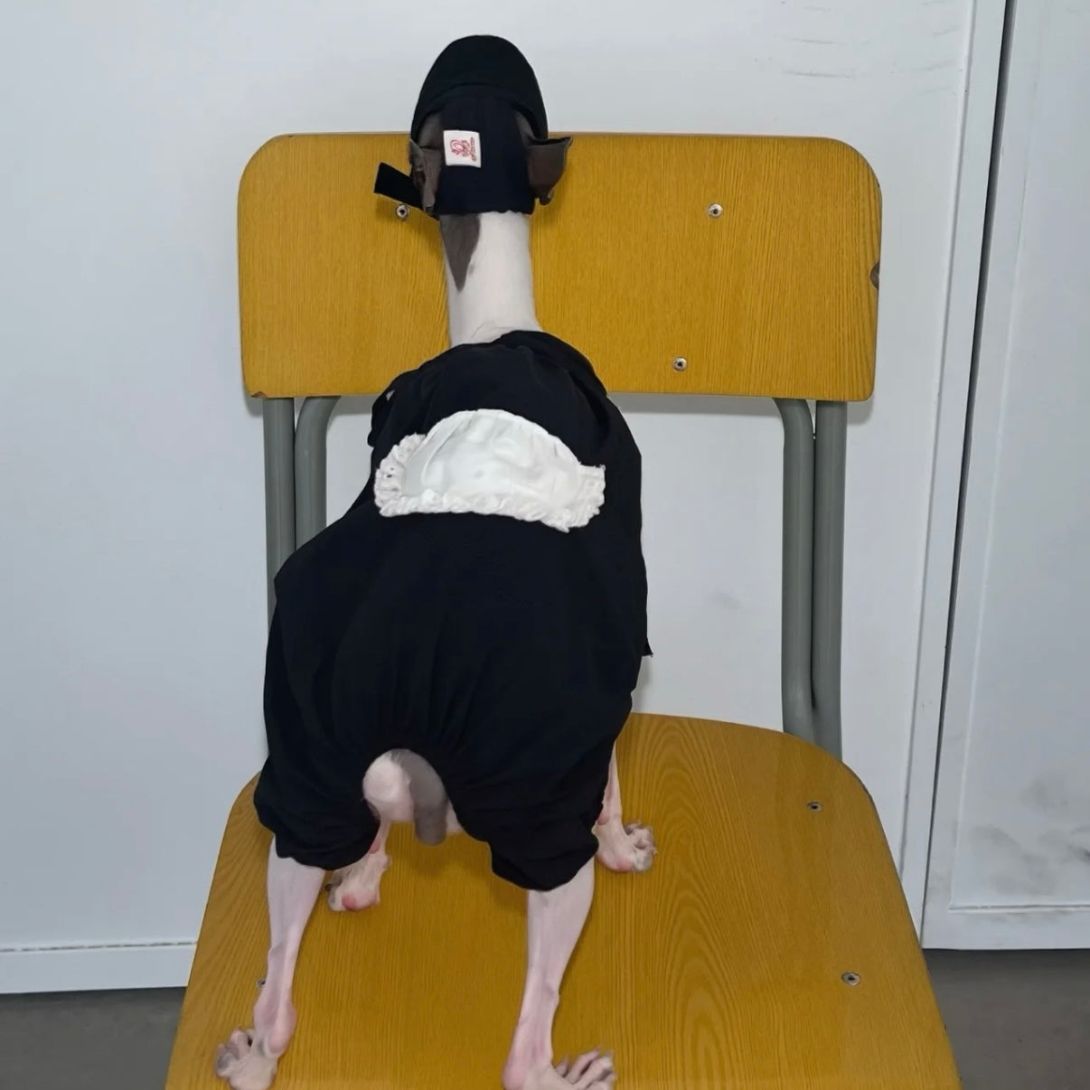 Snuggsoul Matching Lace-Trim Pet Pumpkin Pants