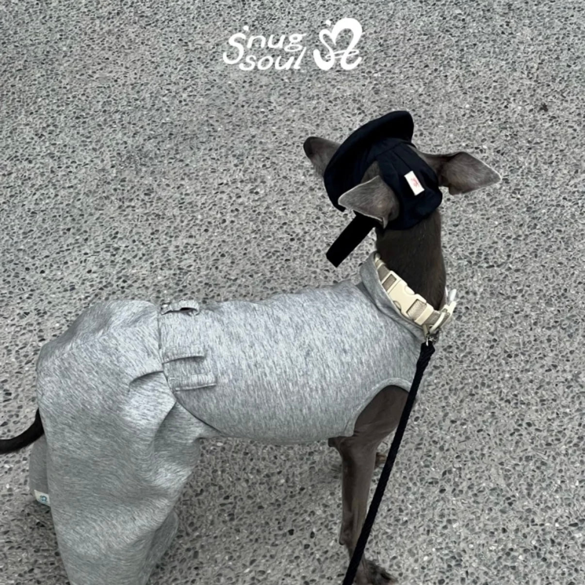 Snuggsoul Flared Bubble Pet Pants