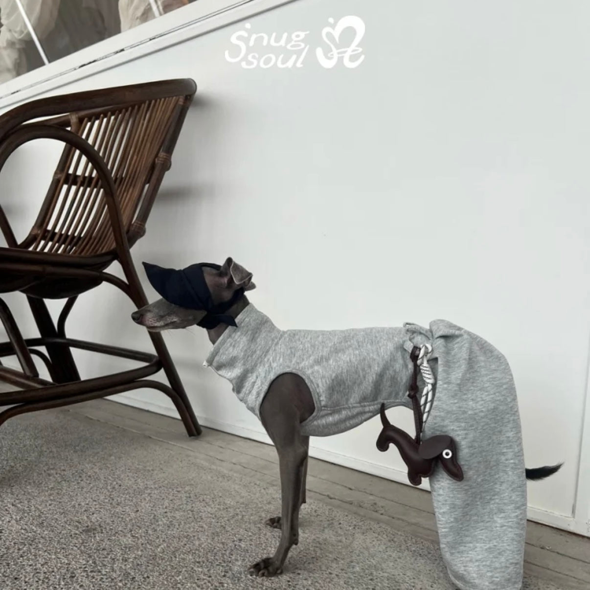 Snuggsoul Flared Bubble Pet Pants