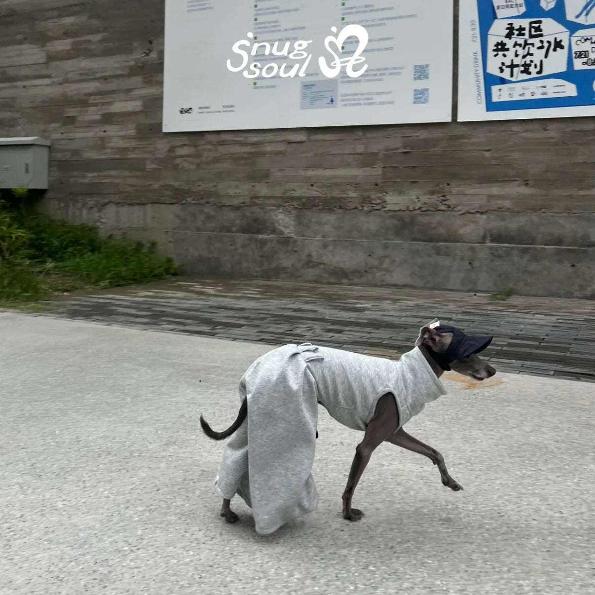 Snuggsoul Flared Bubble Pet Pants