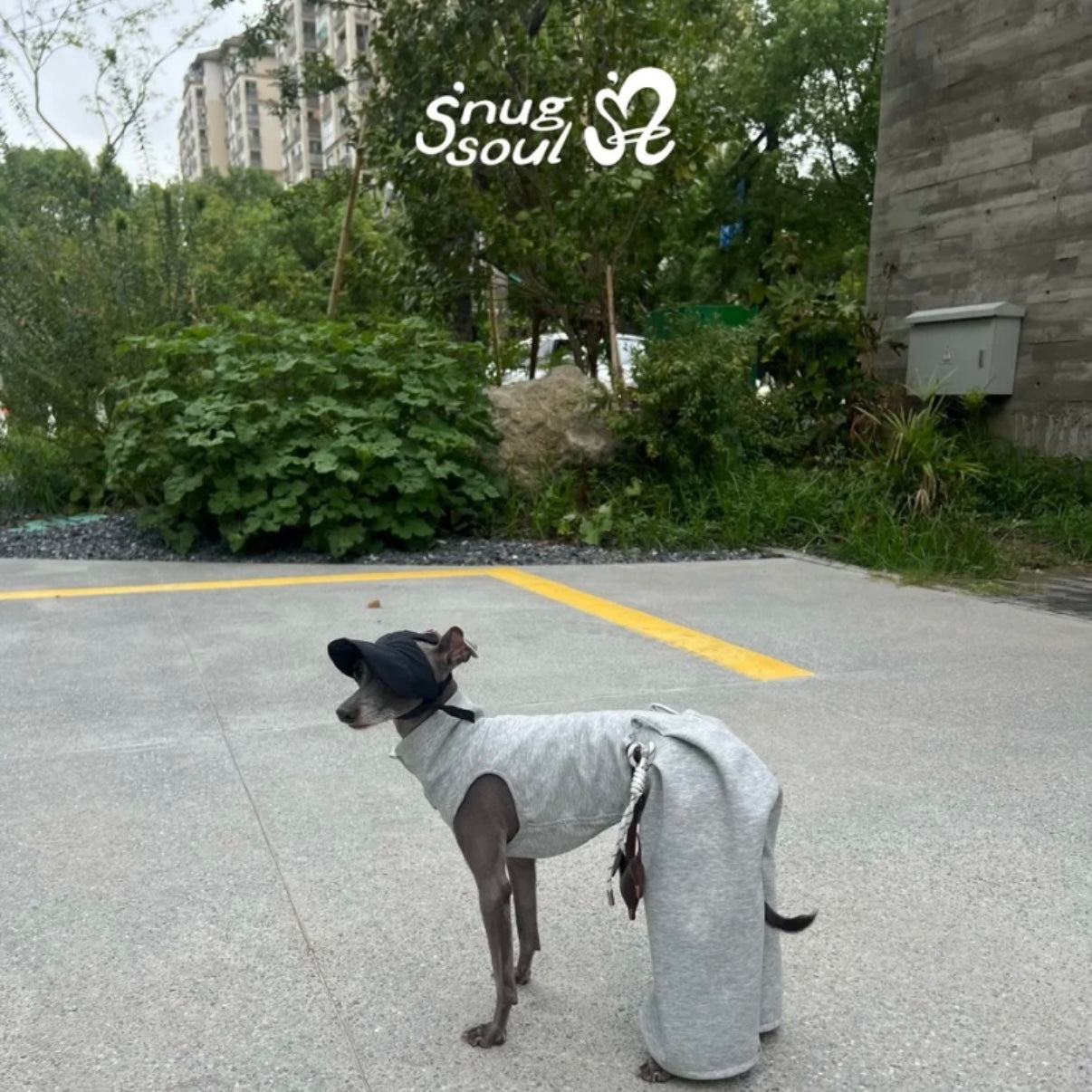 Snuggsoul Flared Bubble Pet Pants