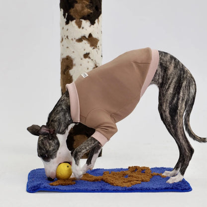 Rawo Air Layer Pet Polo Shirt