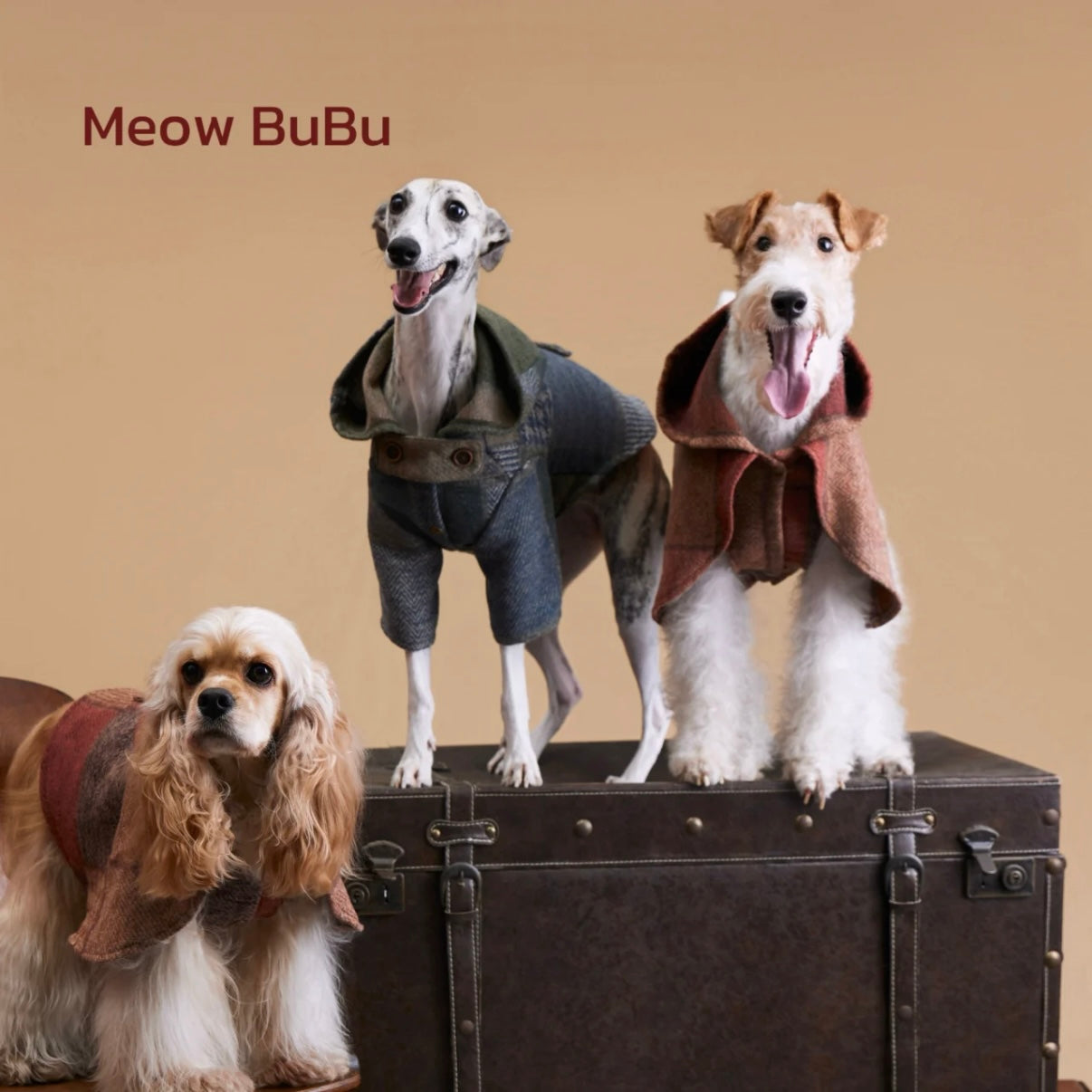 Meow BuBu Winter Pet Coat or Shawl