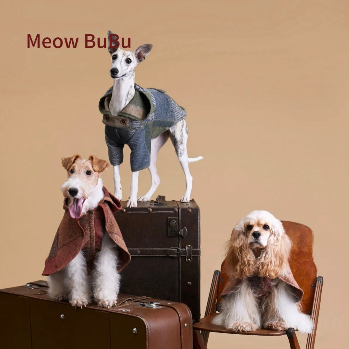 Meow BuBu Winter Pet Coat or Shawl