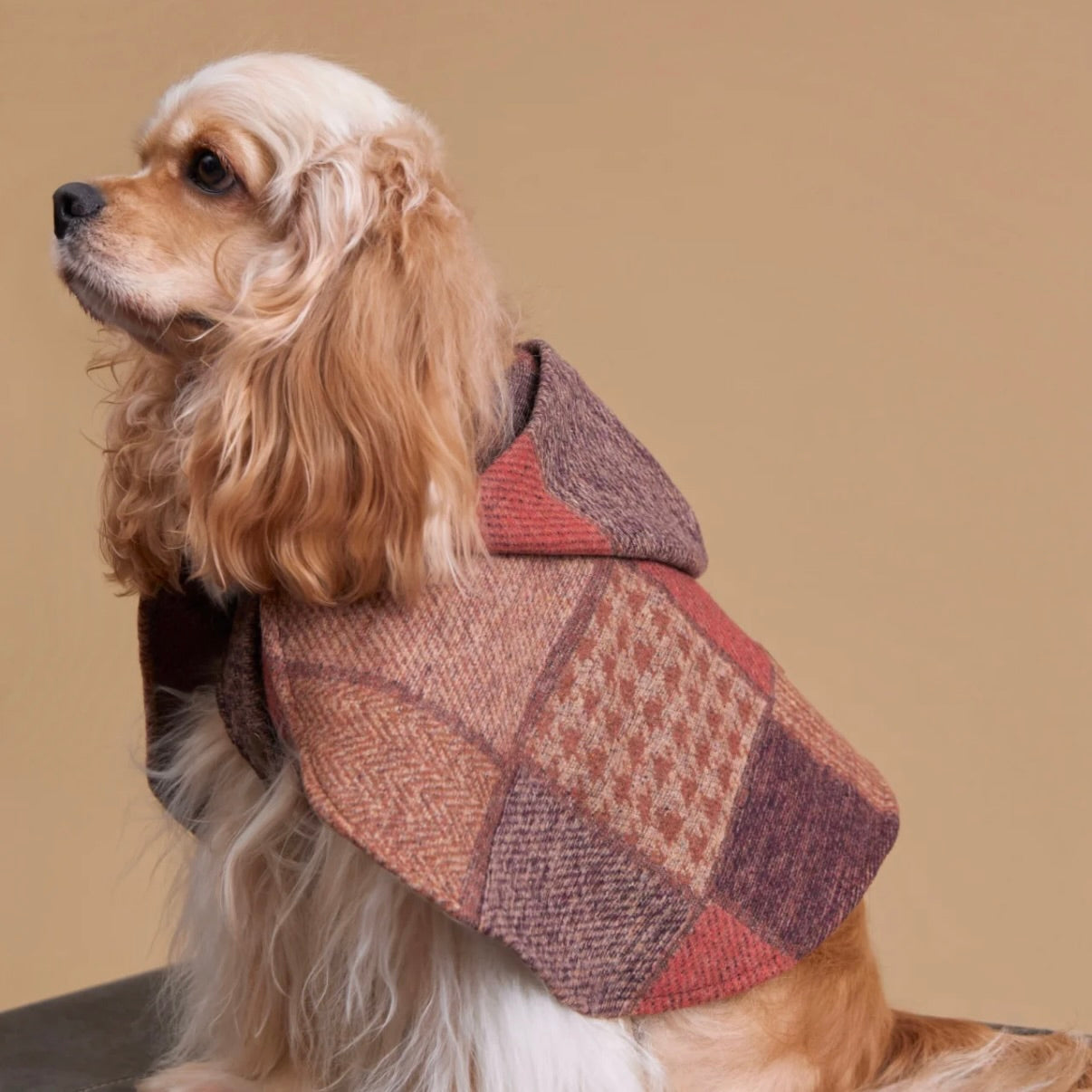 Meow BuBu Winter Pet Coat or Shawl