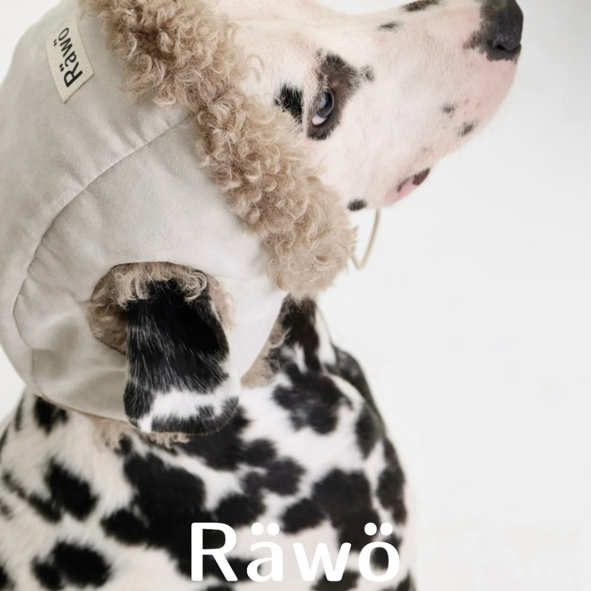 Rawo Reversible Winter Pet Hat
