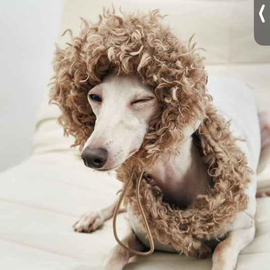 Rawo Reversible Winter Pet Hat