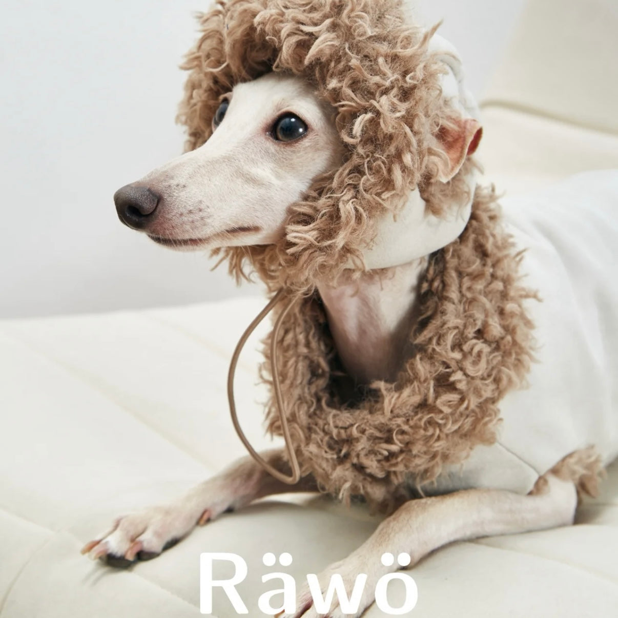 Rawo Reversible Winter Pet Hat