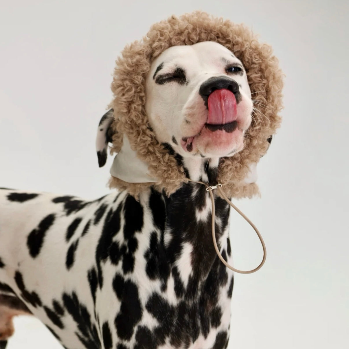 Rawo Reversible Winter Pet Hat